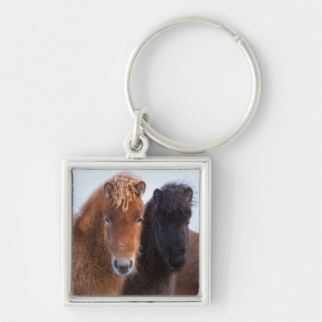 Porte-clés Cheval islandais en hiver en Islande (Devant)