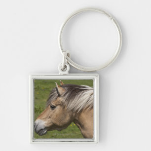 Porte-clés Cheval norvégien de fjord