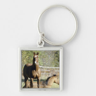 Porte-clés Chevaux dans le pâturage