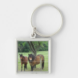 Porte-clés Chevaux dans le pâturage