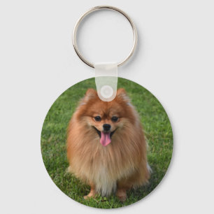 Porte-clés Chien à chiot roumain Brown