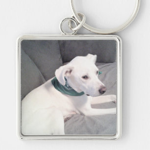 Porte-clés Chien blanc mignon vêtu d'écaille verte gris