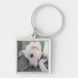 Porte-clés Chien blanc pâle portant une écusson verte