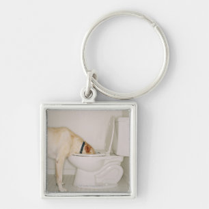 Porte-clés Chien buvant hors de la toilette