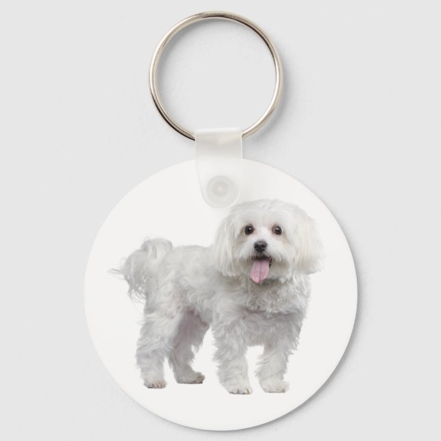 Porte-clés Chien Chien Chien Chien Blanc Maltais Personnalisé (Recto)