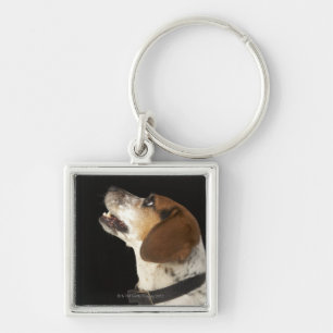 Porte-clés Chien de beagle avec le profil noir de collier