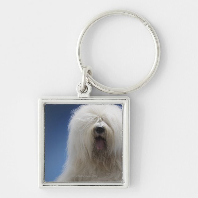 Porte-clés Chien de berger (Devant)