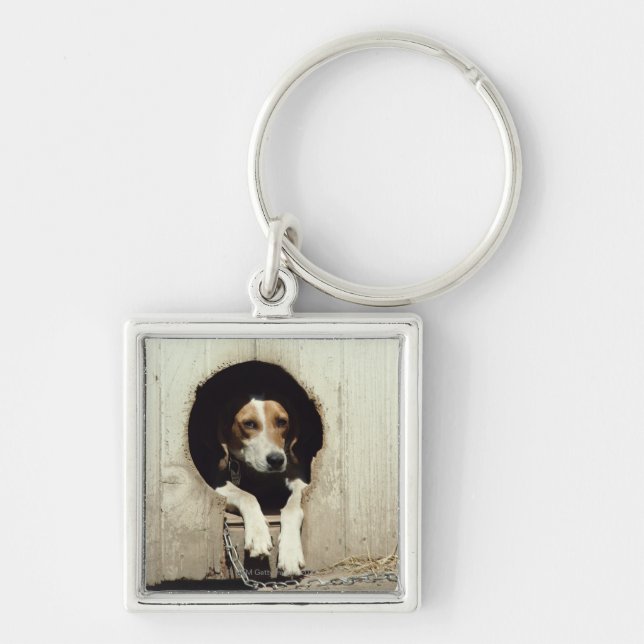 Porte-clés Chien de chasse dans la niche (Devant)