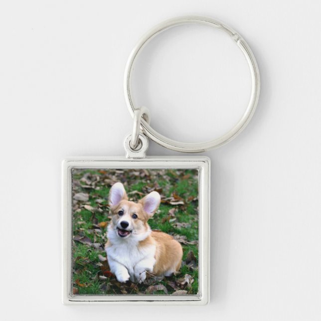 Porte-clés Chien de Corgi mignon qui bondit (Devant)