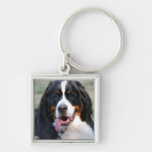 Porte-clés Chien de montagne de Bernese avec le grand porte -
