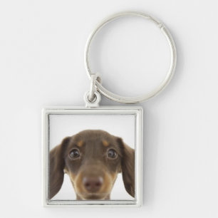 Porte-clés Chien de saucisse (brun) 2