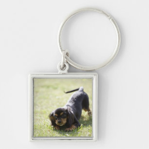 Porte-clés Chien de saucisse (noir)