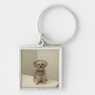 Porte-clés Chien de Terrier utilisant le collier protecteur