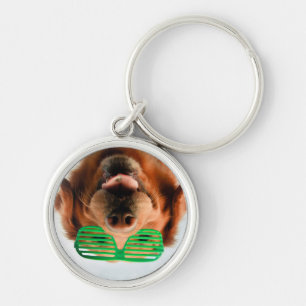 Porte-clés Chien des images de Getty avec des verres