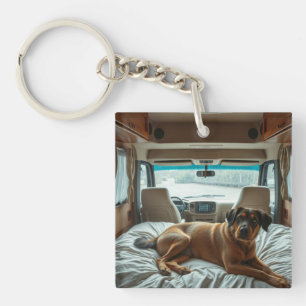 Porte-clés Chien dormant dans l'intérieur confortable d'un ca