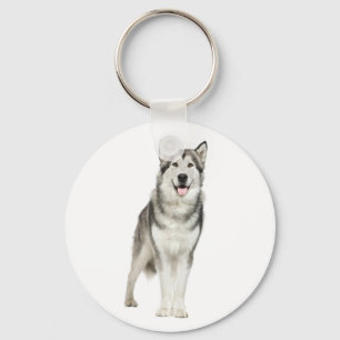 Porte-clés Chien Malamute d'Alaska