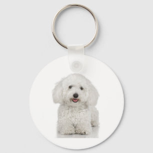 Porte-clés Chien maltais blanc