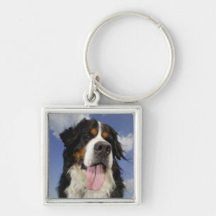 Porte-clés Chien, plan rapproché