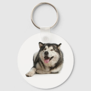 Porte-clés Chien Puppy Malamute d'Alaska