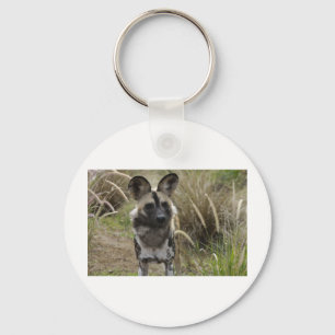 Porte-clés Chien sauvage africain
