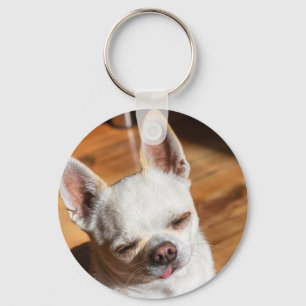Porte-clés Chihuahua somnolent squint langue détendue dehors 