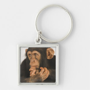 Porte-clés Chimpanzé (troglodytes de casserole). Jeune