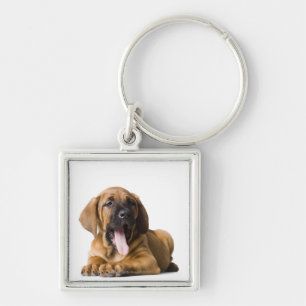 Porte-clés Chiot 2