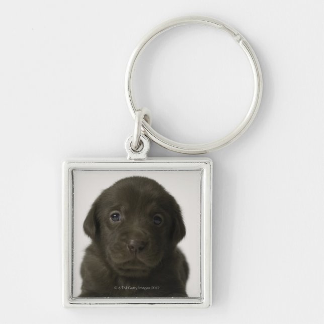 Porte-clés Chiot Brown, portrait, plan rapproché (Devant)