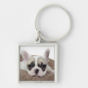 Porte-clés Chiot de bouledogue français se situant dans un