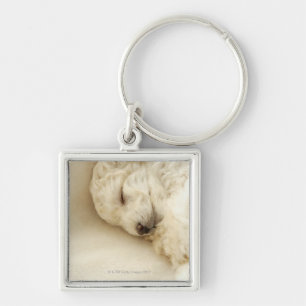 Porte-clés Chiot de caniche de sommeil