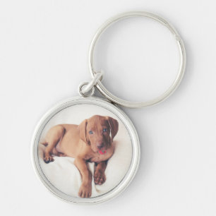 Porte-clés Chiot de Vizsla de Hongrois