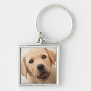 Porte-clés Chiot d'or de Labrador