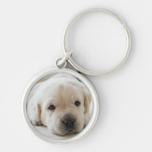Porte-clés Chiot doré du Labrador