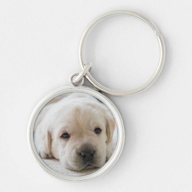 Porte-clés Chiot doré du Labrador doré (Devant)