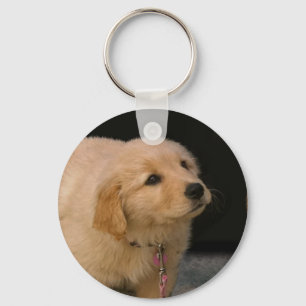 Porte-clés Chiot Golden Retriever