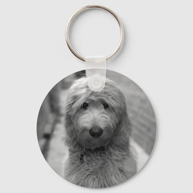 Porte-clés Chiot Goldendoodle en Jardin (Recto)