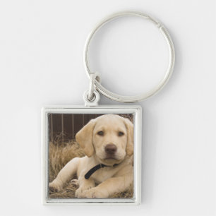 Porte-clés chiot Labrador Retriever