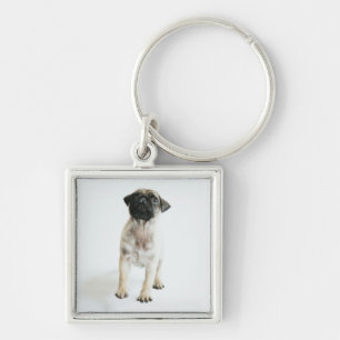 Porte-clés Chiot mignon de carlin