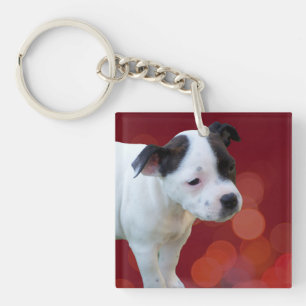 Porte-clés Chiot Noir Et Blanc,