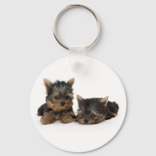 Porte-clés Chiots du Yorkshire Terrier
