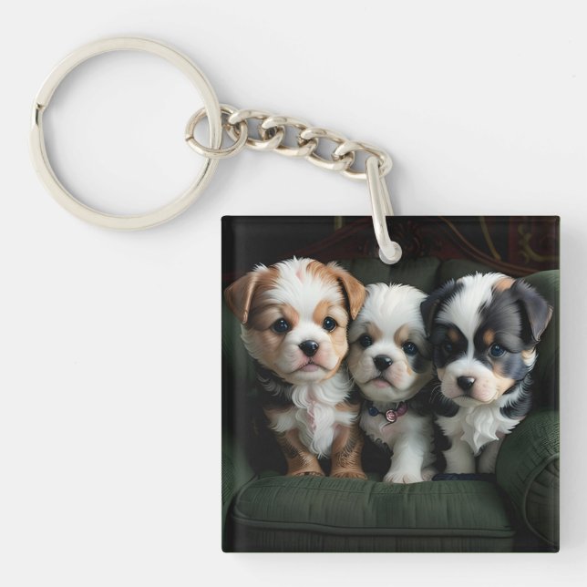 Porte-clés Chiots super mignons sur le canapé 2 (Devant)