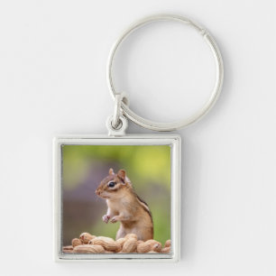 Porte-clés Chipmunk aux cacahuètes