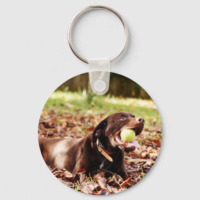 Porte-clés Chocolat Labrador Jouer Avec Ball (Recto)