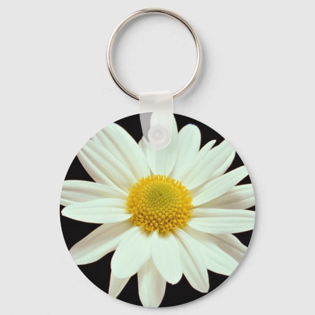 Porte-clés Chrysanthème de marguerite blanche (Recto)