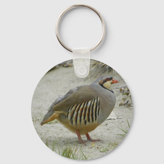 Porte-clés Chukar Partridge (Recto)