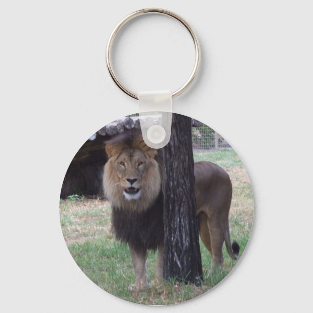 Porte-clés Clavier Lion (Recto)