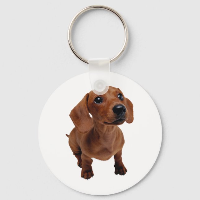 Porte-clés Clavier Mini Dachshund (Recto)