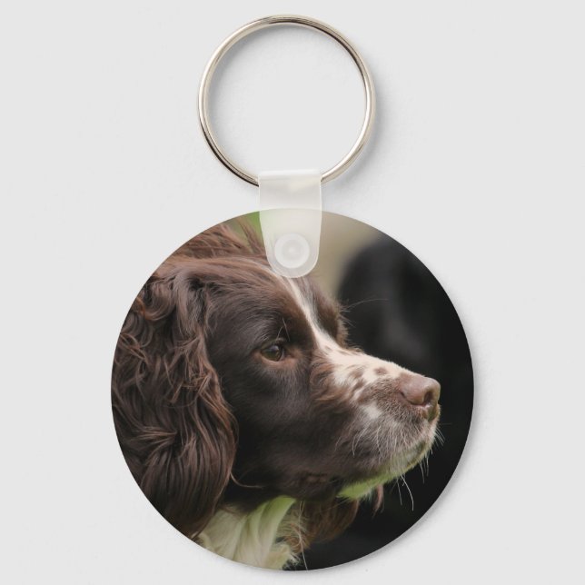 Porte-clés Clavier Springer Spaniel (Recto)