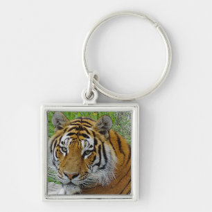 Porte-clés Closeup de tigre de Sibérie Photo du visage