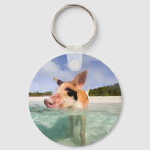 Porte-clés Cochon de natation d'Exuma